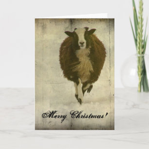 Cartes Pour Fêtes Annuelles Courir des Lambchops, Joyeux Noël