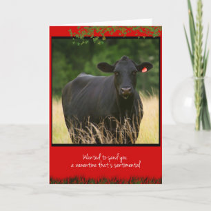 Cartes Pour Fêtes Annuelles Cow Valentine