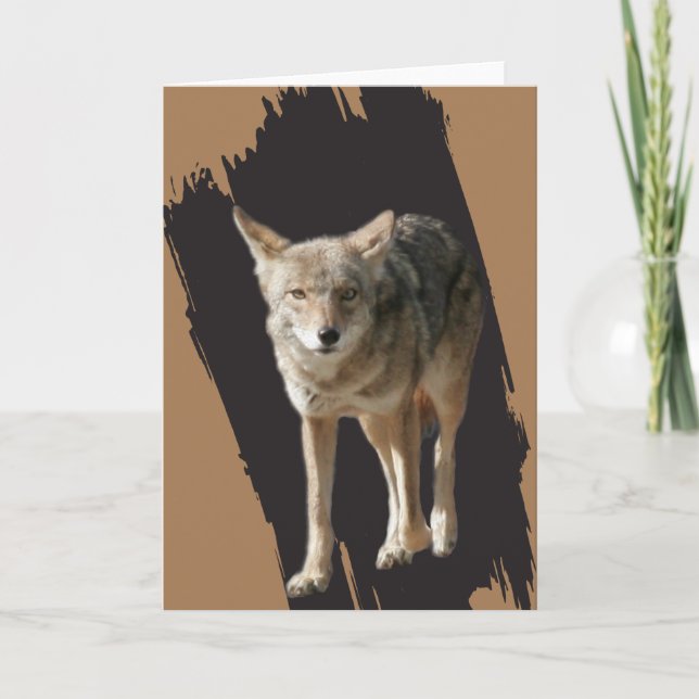 Cartes Pour Fêtes Annuelles Coyote Solitaire (Devant)
