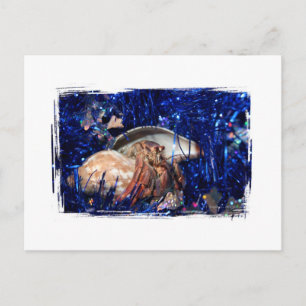 Cartes Pour Fêtes Annuelles Crabe Hermite Design de Noël Contre le moule bleu