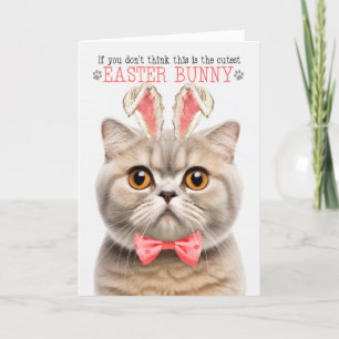 Cartes Pour Fêtes Annuelles Cream Scottish Fold Cutest Pâques Bunny Kitty Puns