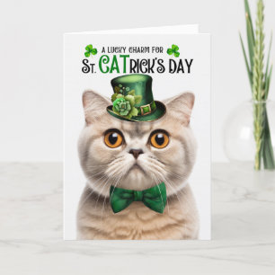 Cartes Pour Fêtes Annuelles Cream Scottish Fold Lucky Charm St CATrick's Day