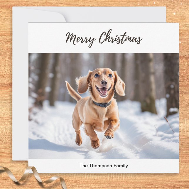 Cartes Pour Fêtes Annuelles Crème Dachshund En Chien Neige Photo Chic Cute (A delightful cream dachshund running through snow is pictured on this elegant Christmas card)