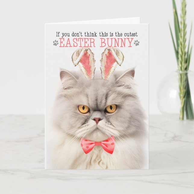 Cartes Pour Fêtes Annuelles Crème Perse Chat Cutest Bunny Bunny Kitty Puns (Devant)