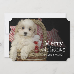 Cartes Pour Fêtes Annuelles Cristmas Malti-poo puppy sitting in basket