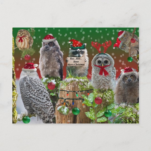 Cartes Pour Fêtes Annuelles Critère de Noël Chouettes et Raccoon (Devant)