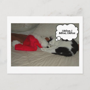 Cartes Pour Fêtes Annuelles Croire de Noël