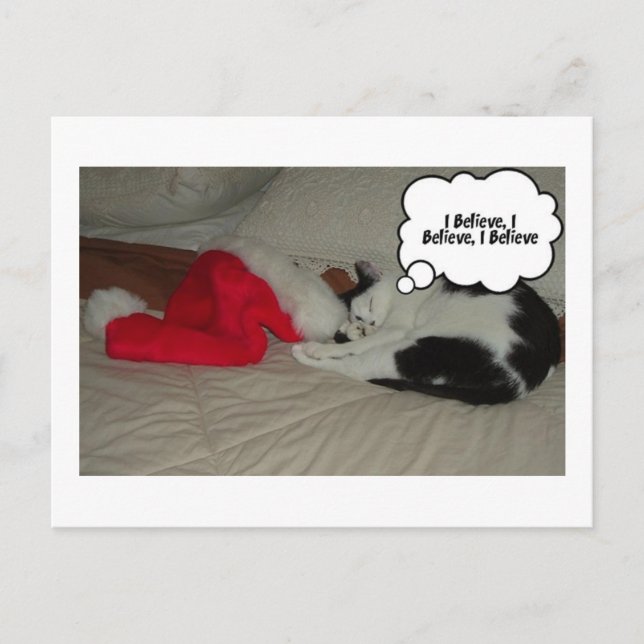 Cartes Pour Fêtes Annuelles Croire de Noël (Devant)