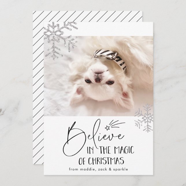 Cartes Pour Fêtes Annuelles Croire | Photo d'animal de compagnie (Devant / Derrière)