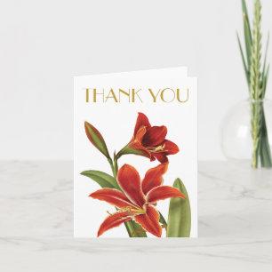 Cartes Pour Fêtes Annuelles Cru rouge de fleur de Noël d'amaryllis botanique