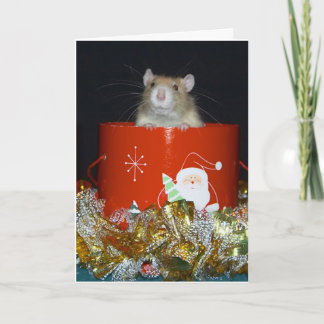 CARTES POUR FÊTES ANNUELLES CRW_9063