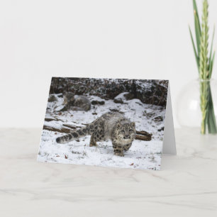 Cartes Pour Fêtes Annuelles Cube Leopard de neige d'hiver