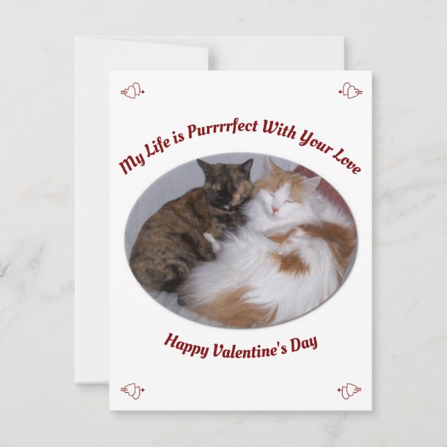 Cartes Pour Fêtes Annuelles Cuddling Chats Purrfect Life Joyeux Valentines Day (Devant)