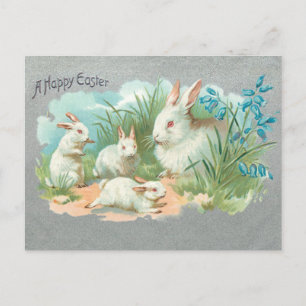 Cartes Pour Fêtes Annuelles Cuisine Vintage Bunnies Pâques Blanches