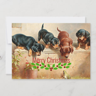 Cartes Pour Fêtes Annuelles Curieux Chiots Dachshund et une grenouille, Noël,