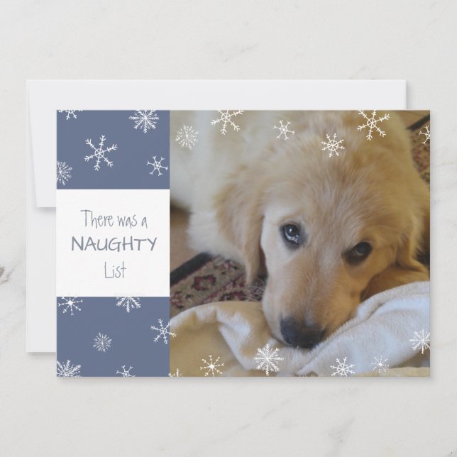 Cartes Pour Fêtes Annuelles Cute animal de compagnie Naughty ou Nice Snowflake (Devant)