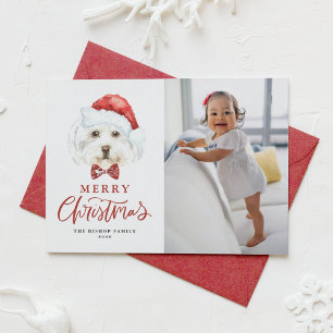 Cartes Pour Fêtes Annuelles Cute aquarelle Père Noël Maltese Chien Photo Noël