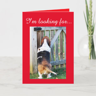 Cartes Pour Fêtes Annuelles Cute Basset Hound à la recherche d'une Saint-Valen