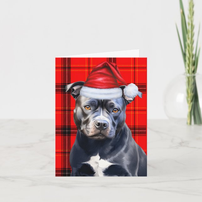 Cartes Pour Fêtes Annuelles Cute Bluenose Pitbull Père Noël Chien Rouge Plaid (Devant)