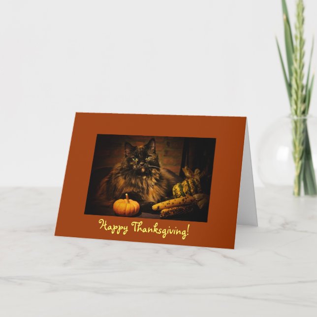 Cartes Pour Fêtes Annuelles Cute Chat Avec Citrouille - Thanksgiving ! (Devant)