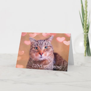 Cartes Pour Fêtes Annuelles Cute Chat "For Mom" Saint Valentin