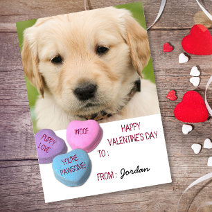 Cartes Pour Fêtes Annuelles Cute Chien Photo Classe Saint Valentin Coeurs de b