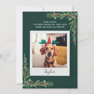 Cartes Pour Fêtes Annuelles Cute Chien Photo Custom Christmas