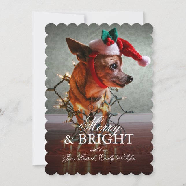 Cartes Pour Fêtes Annuelles Cute Chihuahua Avec Chapeau De Père Noël (Devant)
