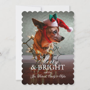 Cartes Pour Fêtes Annuelles Cute Chihuahua Avec Chapeau De Père Noël