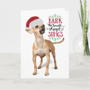 Cartes Pour Fêtes Annuelles Cute Chihuahua avec les vacances de Santa Hat