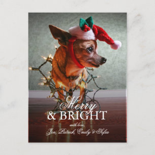 Cartes Pour Fêtes Annuelles Cute Chihuahua With A Santa Hat