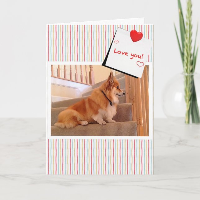 Cartes Pour Fêtes Annuelles Cute Corgi Fluffy sur les escaliers Valentine (Devant)
