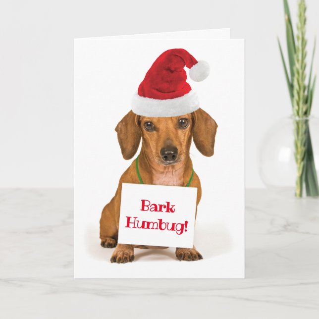 Cartes Pour Fêtes Annuelles Cute Dachshund avec Santa Hat Bark Humbug (Devant)