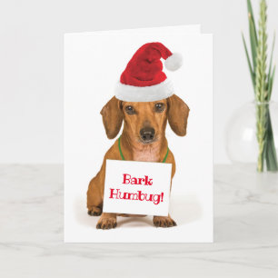 Cartes Pour Fêtes Annuelles Cute Dachshund avec Santa Hat Bark Humbug