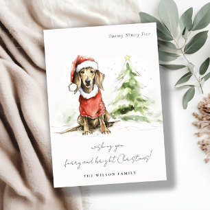 Cartes Pour Fêtes Annuelles Cute Dachshund Chien Furie et Noël brillant