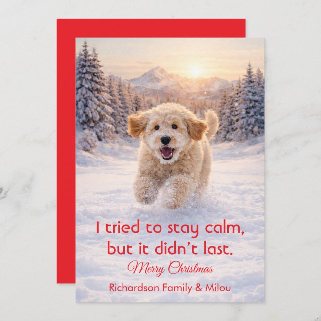 Cartes Pour Fêtes Annuelles Cute Dog with Christmas Funny Quote | Holiday Card (Devant / Derrière)