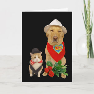 Cartes Pour Fêtes Annuelles Cute, Drôle Chat & Chien/Lab Valentine