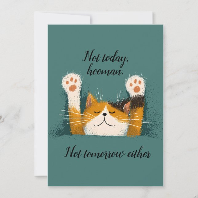 Cartes Pour Fêtes Annuelles Cute Drôle Chat Nap (Devant)