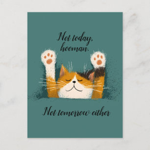Cartes Pour Fêtes Annuelles Cute Drôle Chat Nap