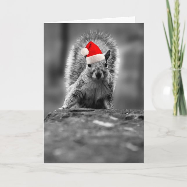 Cartes Pour Fêtes Annuelles Cute écureuil Père Noël (Devant)