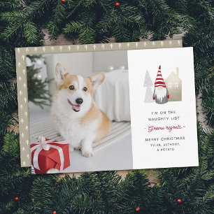 Cartes Pour Fêtes Annuelles Cute Gnome Regrets   Photo de Noël pour animaux
