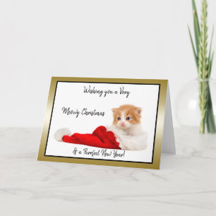 Cartes Pour Fêtes Annuelles Cute Kitten vous souhaite un Noël Meowy