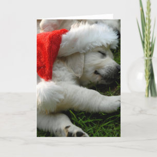 Cartes Pour Fêtes Annuelles Cute labrador puppy with x-mas