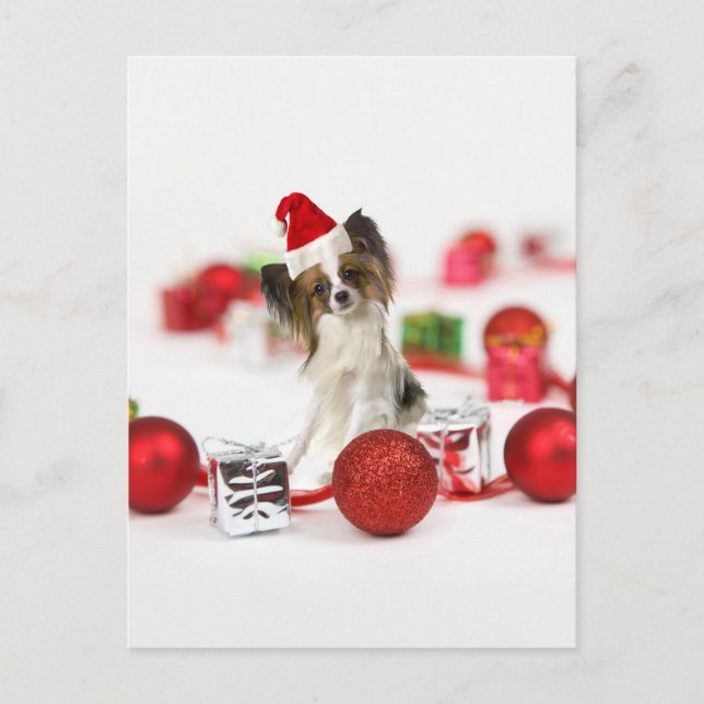 Cartes Pour Fêtes Annuelles Cute Papillon Dog Christmas Santa Hat (Devant)