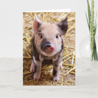 Cartes Pour Fêtes Annuelles Cute Pic