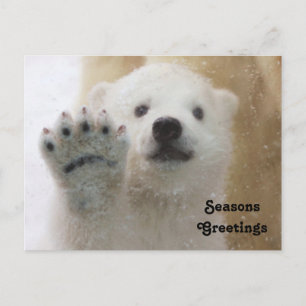 Cartes Pour Fêtes Annuelles Cute Polaire Bear Cub Waving