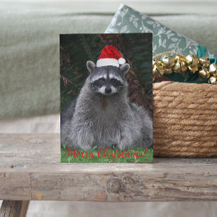 Cartes Pour Fêtes Annuelles Cute Raccoon portant le chapeau rouge Santa