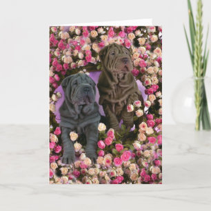 Cartes Pour Fêtes Annuelles Cute Shar pei puppies in a bed of roses