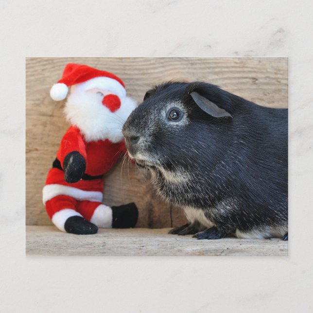 Cartes Pour Fêtes Annuelles Cute Silver Fox Guinée Pig et Père Noël (Devant)