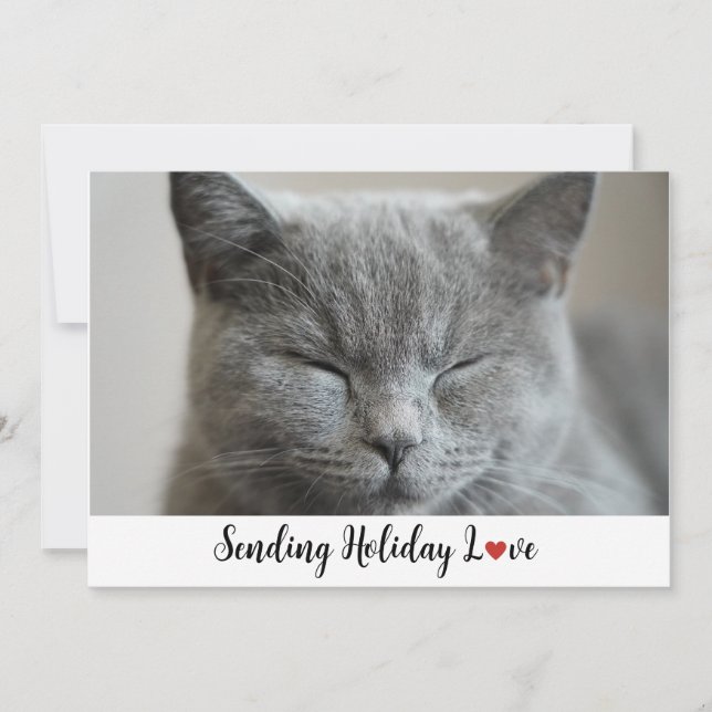 Cartes Pour Fêtes Annuelles Cute Sleepy Chat Envoi Holiday Love (Devant)